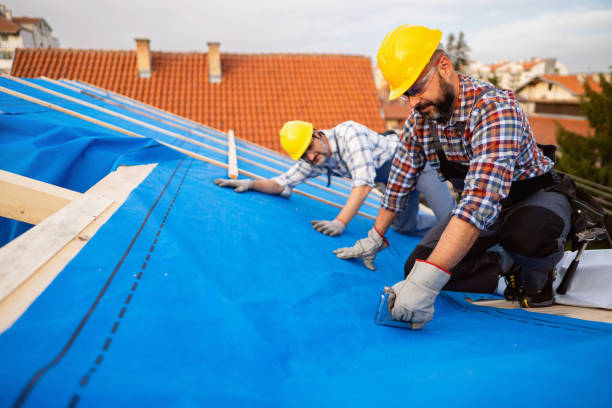 Roof Repair Estimates in Tampa, FL