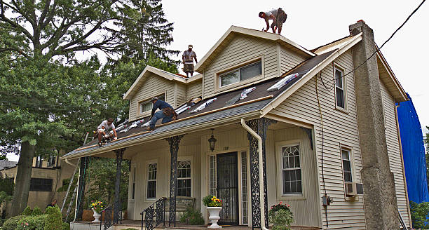 Best Storm Damage Roof Repair  in Tampa, FL