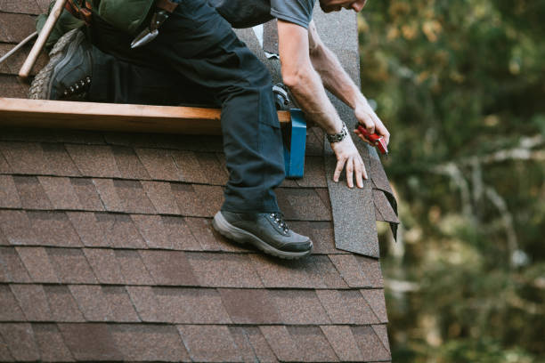 Best Roof Leak Repair  in Tampa, FL